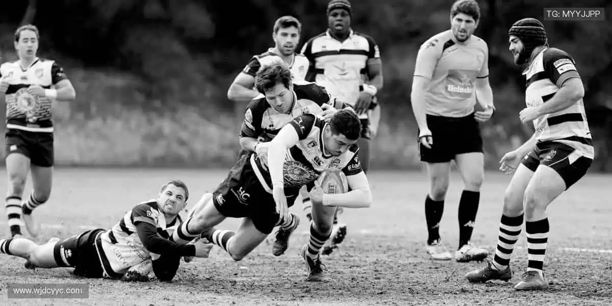 高清直播,互动不停!🎮