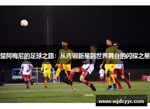 楚阿梅尼的足球之路：从青训新星到世界舞台的闪耀之星