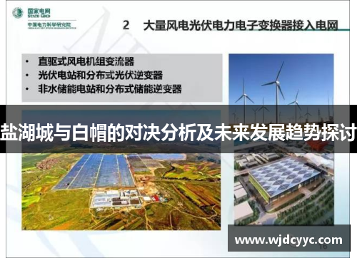 盐湖城与白帽的对决分析及未来发展趋势探讨